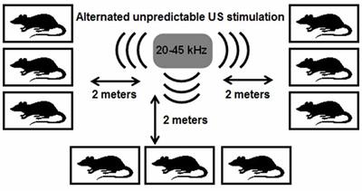 The Comparison of a New Ultrasound-Induced Depression Model to the Chronic Mild Stress Paradigm